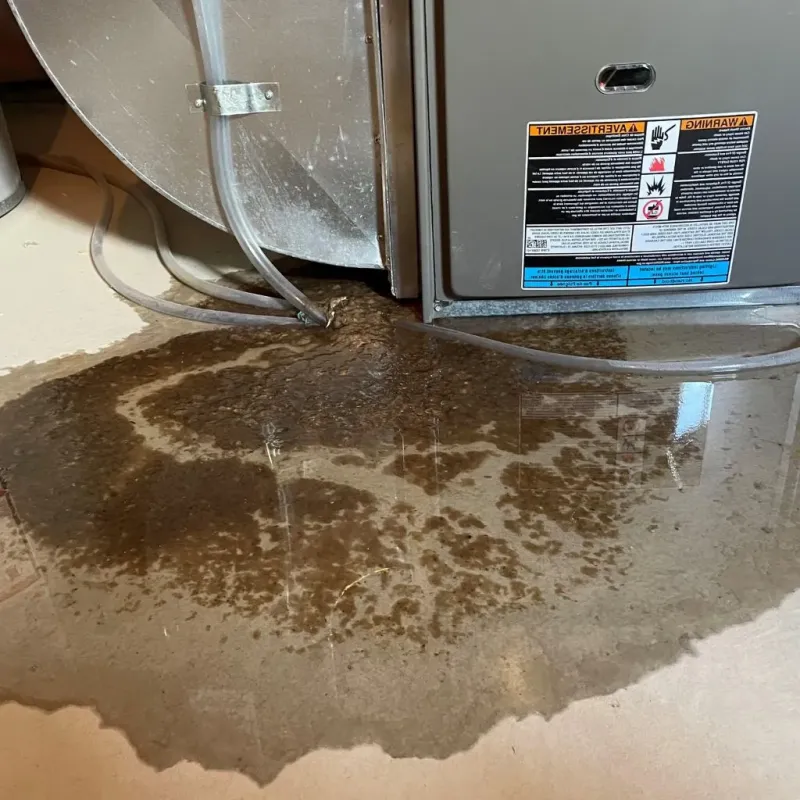 Pipe Burst and Leak Restoration in Goshen, IN